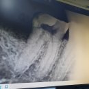 닥터강치과의원 이미지