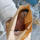 지에스25 칠암한주점 | 한 달도 안남은 결혼식 실감하기 / 2월 1주차