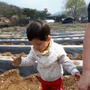 승원농장 이미지