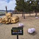 로또매니아 이미지