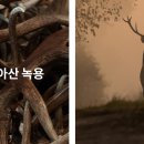 대보약국 이미지