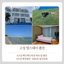 멍스테이펜션 | [고성] 물놀이하기 좋았던 백도해수욕장 바로앞 고성숙소 '멍스테이펜션'