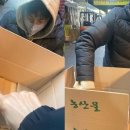 국대과일 이미지