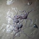 샛별글램핑 이미지