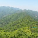 매산박골 이미지