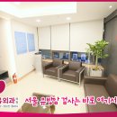 레이디유외과의원 이미지