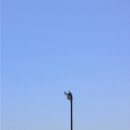 서광리-14 이미지