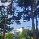 전농신성미소지움 앞 이미지