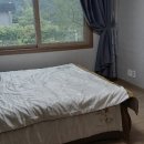 스테이 도트 | 연천펜션 더스테이&amp;도트: 넓은 마당이 있는 애견동반 힐링쉼터 연천펜션