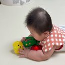 버클리에듀 | 이노야드 두상교정센터 수원점 방문기👶🏻 헬멧 교정 3일차 후기