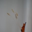 한국폴리텍 VII 대학 부산캠퍼스 이미지