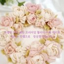 다옴플라워