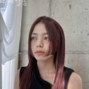 우아살롱