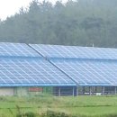 선 태양광발전소 이미지