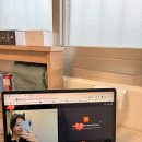 색체테라피와 타로의 만남 | 수업 | 카피바라 카페 | 요가원 |분위기 술집 | 지진 | 상견니 성지 | 새해 | 대만인 크루와의 만남)