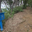 봉화산삼계탕
