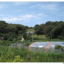 놀부농장 이미지