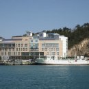 동해-단속-24 이미지