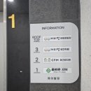 CFM애견유치원 이미지