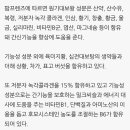 대보약국 이미지