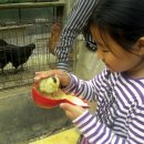 선녀농장 이미지