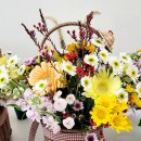 기장초등학교 이미지