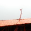 월드조각