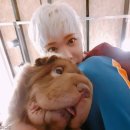 껌딱지펫 이미지