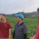 진규농장 이미지