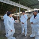 중우농장 이미지