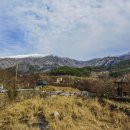 이산찐빵 이미지
