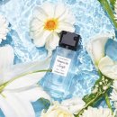 Note Water Lily Soap Eau de Parfum 에디션노트 워터릴리솝; 깨끗한 화이트플라워로 봄을 맞이하다.