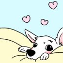 압구정웰동물병원 이미지