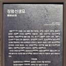 정렴선생묘 네이버블로그