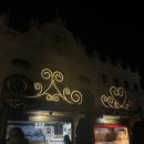 수민컴퍼니 | 동유럽 3,4일차] 비엔나 크리스마스마켓, 골든홀 오케스트라, 립스오브비엔나, 비포선라이즈 LP샵 후기