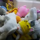 푸쉬푸쉬 인형뽑기방 이미지