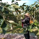 사천강1길 이미지