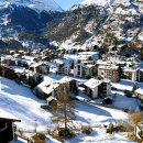 체리마트 이미지