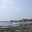 화정갈비 이미지