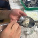 섬바디관광호텔 | 15개월아기와 울릉도/가족여행/도동항숙소/섬바디호텔/거북바위포인트/스노쿨링