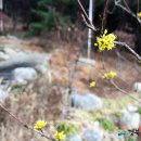 양덕동278 이미지