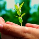 화통한의원 이미지