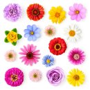 산수유아뜰리에 이미지