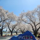 흥무로1(가운데) 네이버블로그