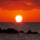 해뜨는아침 이미지