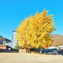 영월부관아 이미지