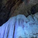 현서농장 이미지