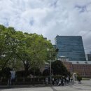 대궁삼계탕 | 부산 동아대학교 인근 보글 보글 뚝배기 삼계탕 '대궁삼계탕' feat. 시사부동산세미나 수업♡