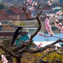 단산마을 이미지