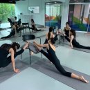 모던스테이지현대무용학원 이미지